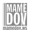Mamedov +Partners