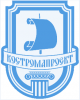 Костромапроект
